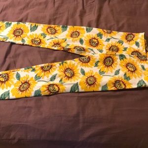 American Apparel Sunflower Leggings
